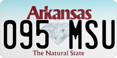 AR license plate 095MSU