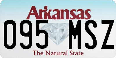 AR license plate 095MSZ