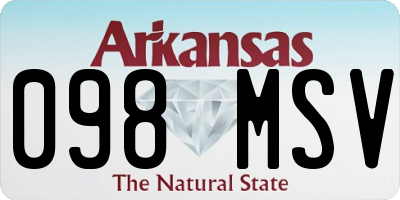 AR license plate 098MSV
