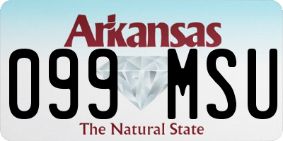 AR license plate 099MSU