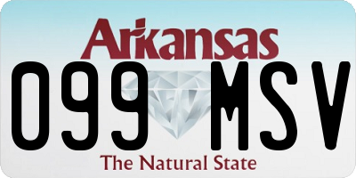 AR license plate 099MSV