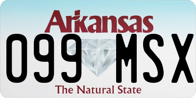 AR license plate 099MSX