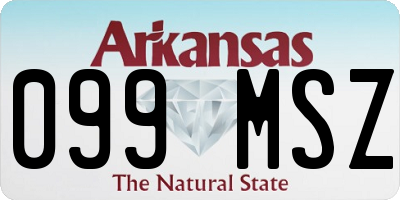 AR license plate 099MSZ