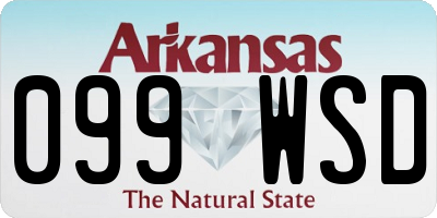 AR license plate 099WSD