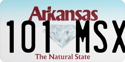 AR license plate 101MSX