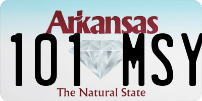 AR license plate 101MSY