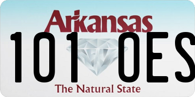 AR license plate 101OES
