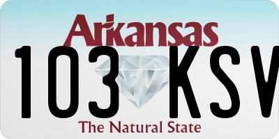 AR license plate 103KSV