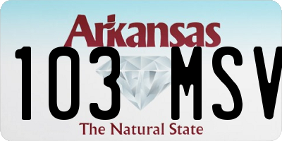 AR license plate 103MSV