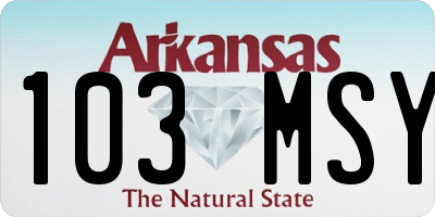 AR license plate 103MSY