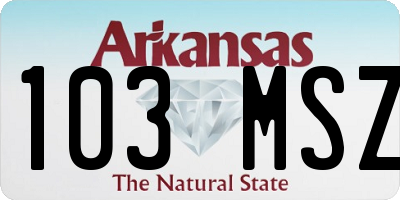 AR license plate 103MSZ