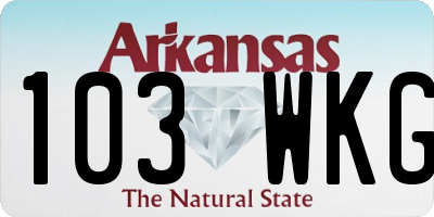 AR license plate 103WKG