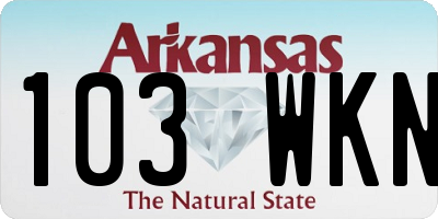 AR license plate 103WKN