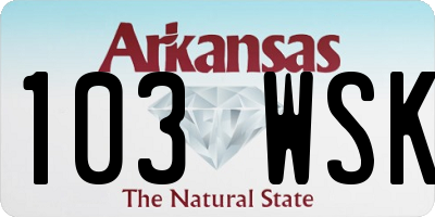 AR license plate 103WSK