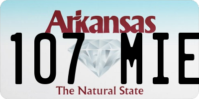 AR license plate 107MIE