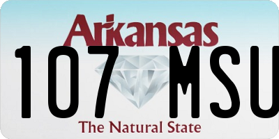 AR license plate 107MSU