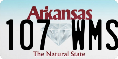 AR license plate 107WMS