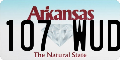 AR license plate 107WUD