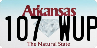 AR license plate 107WUP