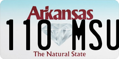 AR license plate 110MSU