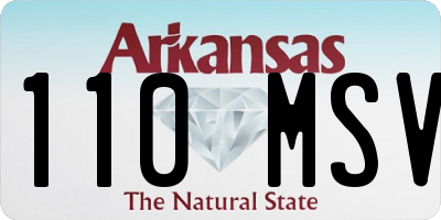 AR license plate 110MSV