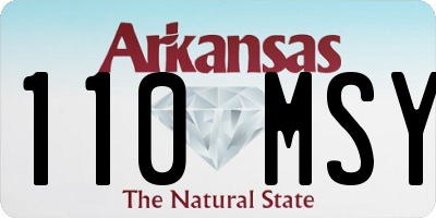 AR license plate 110MSY