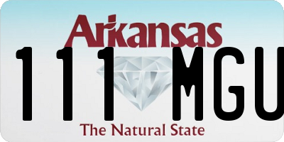 AR license plate 111MGU