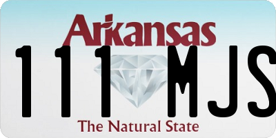 AR license plate 111MJS