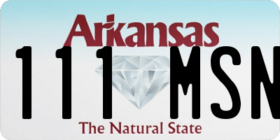 AR license plate 111MSN