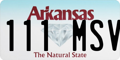 AR license plate 111MSV