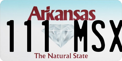 AR license plate 111MSX