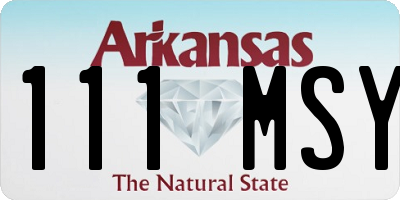 AR license plate 111MSY