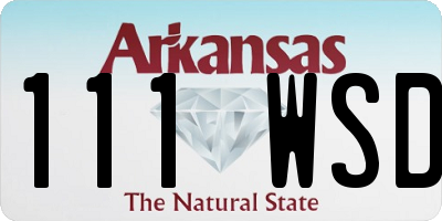 AR license plate 111WSD