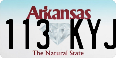 AR license plate 113KYJ