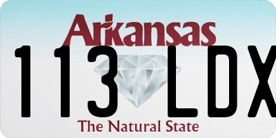 AR license plate 113LDX