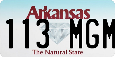 AR license plate 113MGM