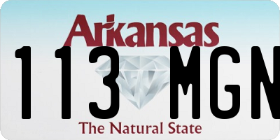AR license plate 113MGN