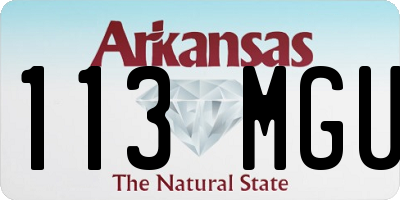 AR license plate 113MGU