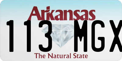 AR license plate 113MGX