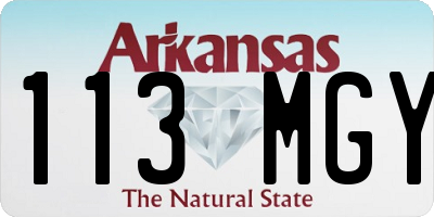 AR license plate 113MGY