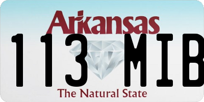 AR license plate 113MIB