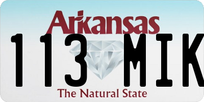 AR license plate 113MIK
