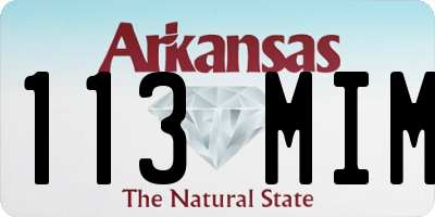 AR license plate 113MIM