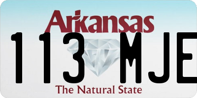 AR license plate 113MJE