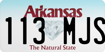 AR license plate 113MJS