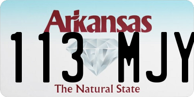 AR license plate 113MJY