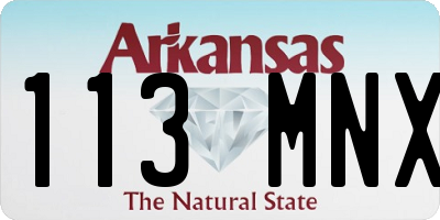 AR license plate 113MNX