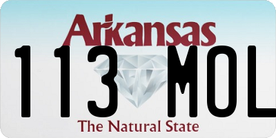 AR license plate 113MOL