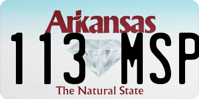 AR license plate 113MSP