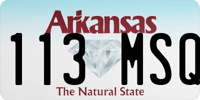 AR license plate 113MSQ